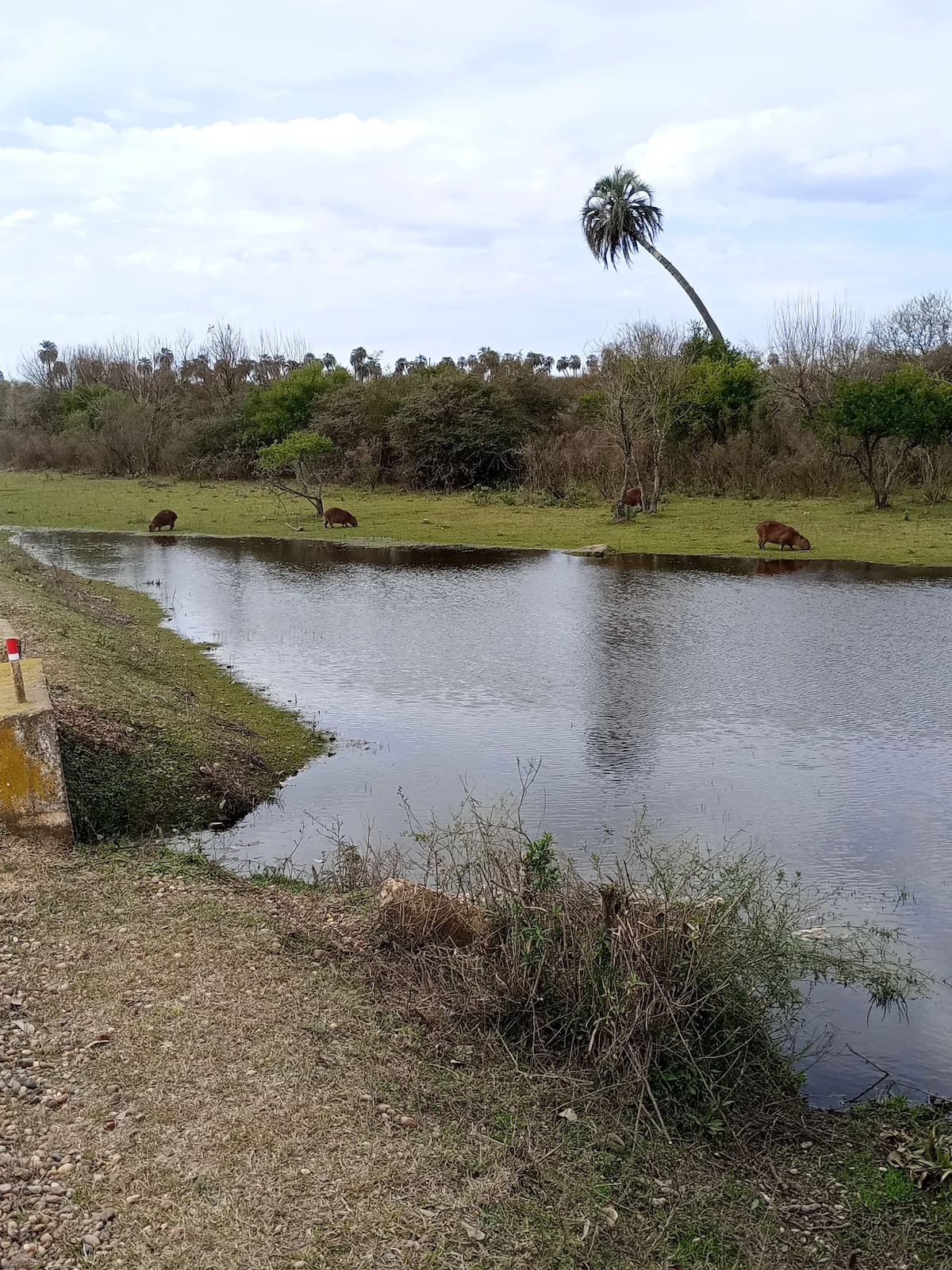 Parque nacional El Palmar