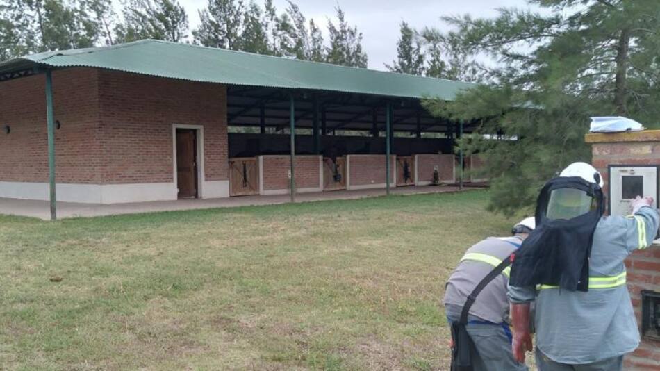 Conexiones clandestinas en La Dolfina Polo Ranch, Cañuelas. Foto: Edesur.