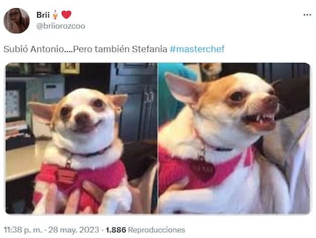 Meme de MasterChef. Foto: Twitter.