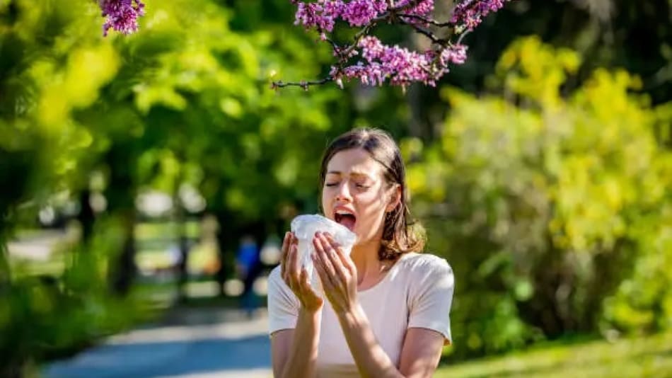 Alergias en primavera. Fuente: Unsplash.