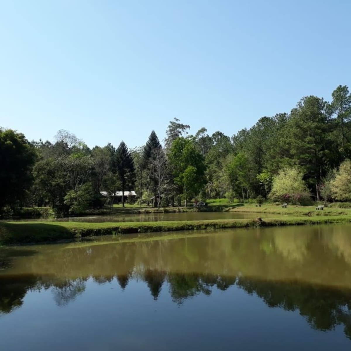 Complejo de Cabañas La Querencia, en El Dorado, a metros del Parque Nacional Iguazú, en Misiones.