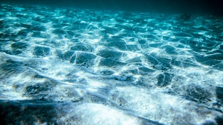 Profundidades del océano. Foto: Freepik