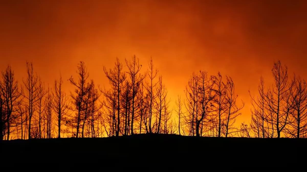 Catástrofes naturales. Foto: Reuters