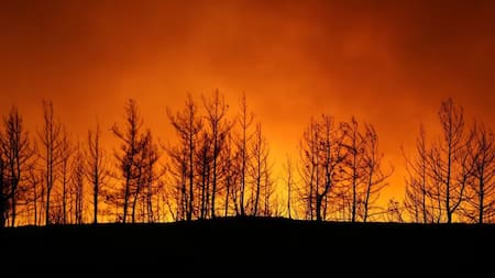 Catástrofes naturales. Foto: Reuters