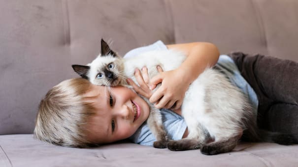 Mascotas y chicos: cuál es el mejor gato para criar junto a nuestros hijos, según los expertos