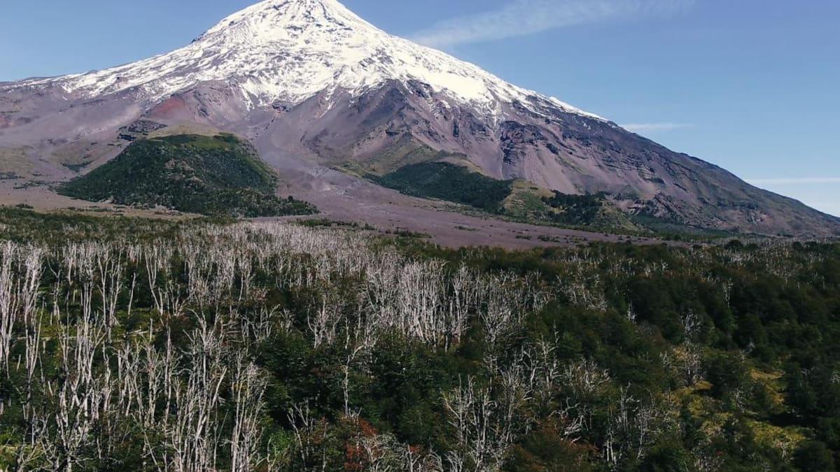 Volcán Lanín