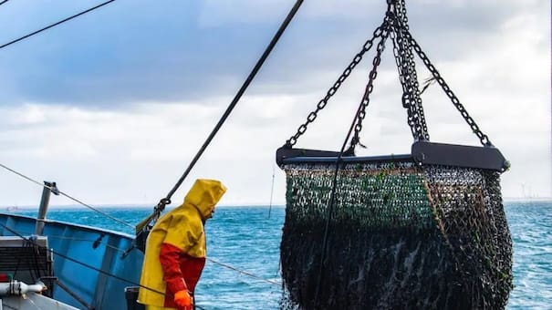Japón, un aliado de Argentina contra la pesca ilegal de China en su Zona Económica Exclusiva: proveerá drones para monitorear el mar