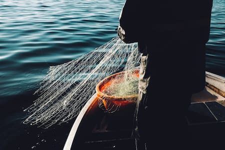 Pesca de salmón. Foto: Unsplash