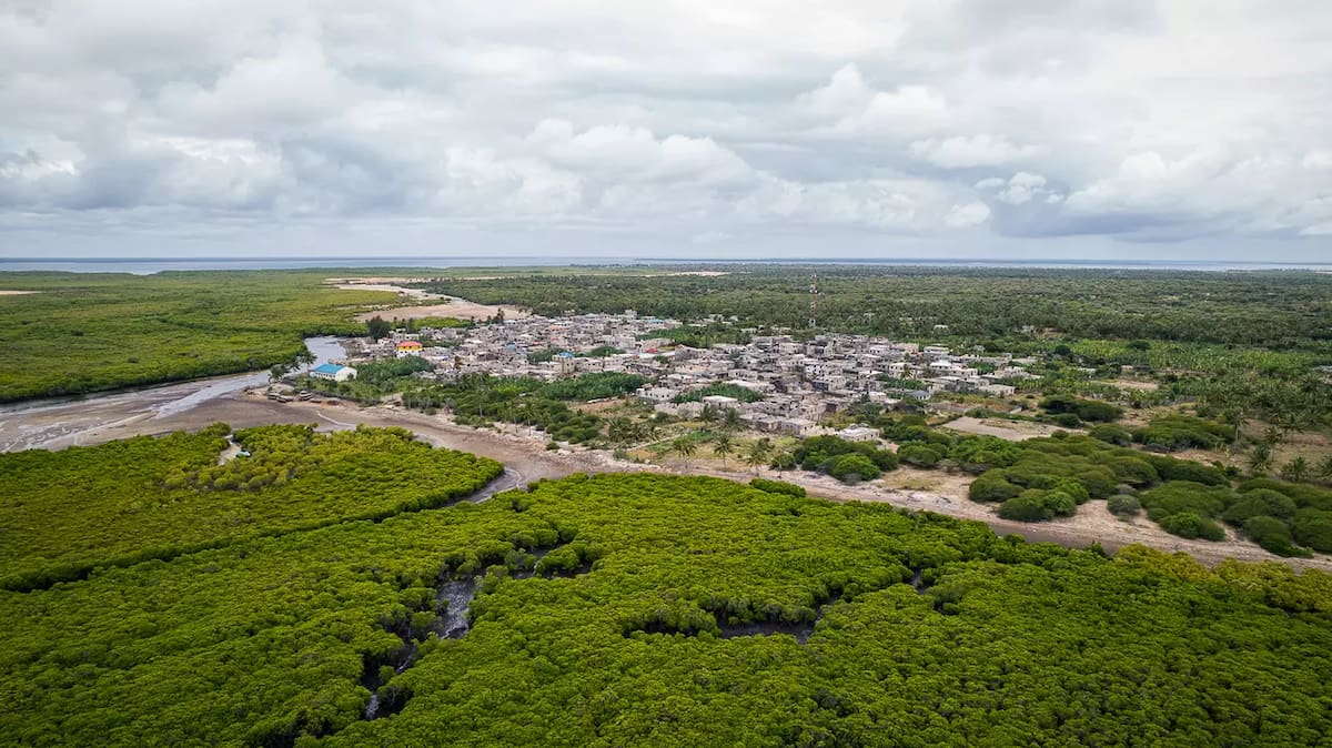 Una isla de Kenia recuperó 18 toneladas de plástico en solo 8 meses y creó una nueva forma de generar ingresos mientras protege el medio ambiente.