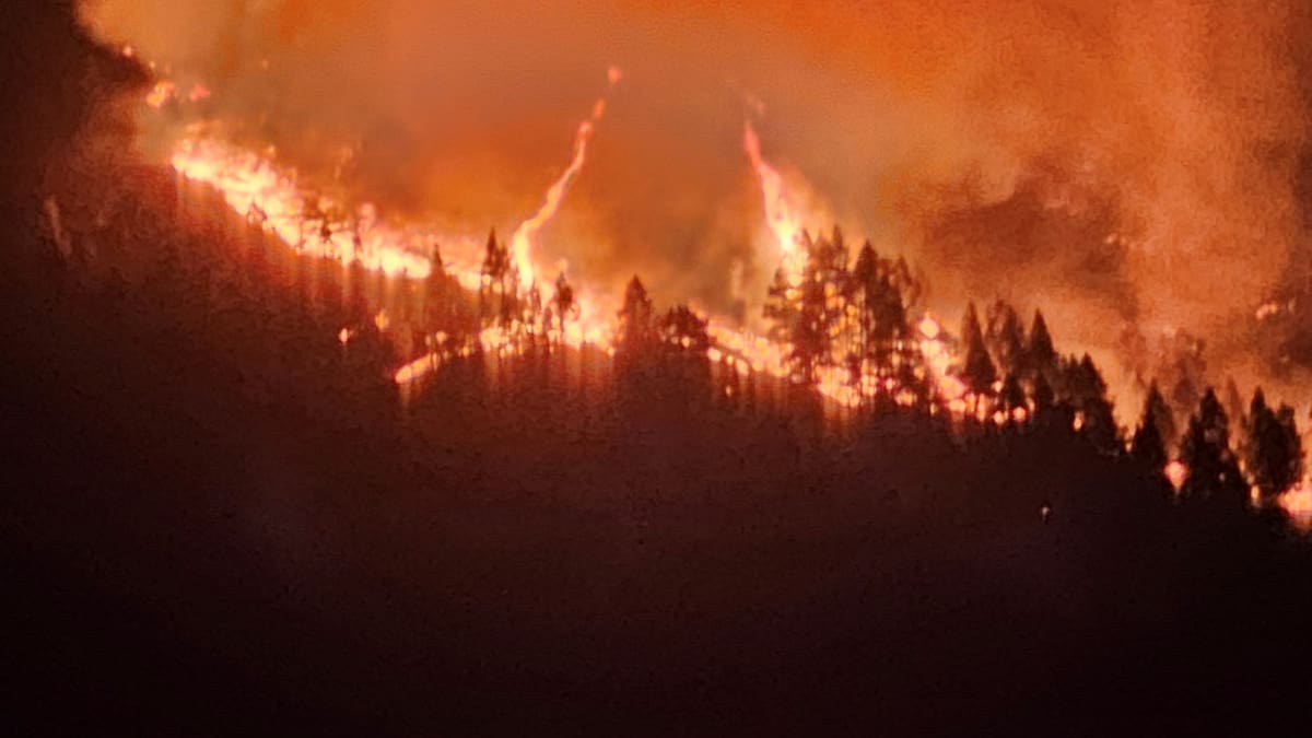 Avanza el fuego en Tenerife, Islas Canarias. Foto: Reuters