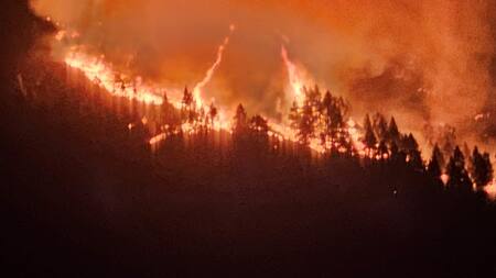 Avanza el fuego en Tenerife, Islas Canarias. Foto: Reuters