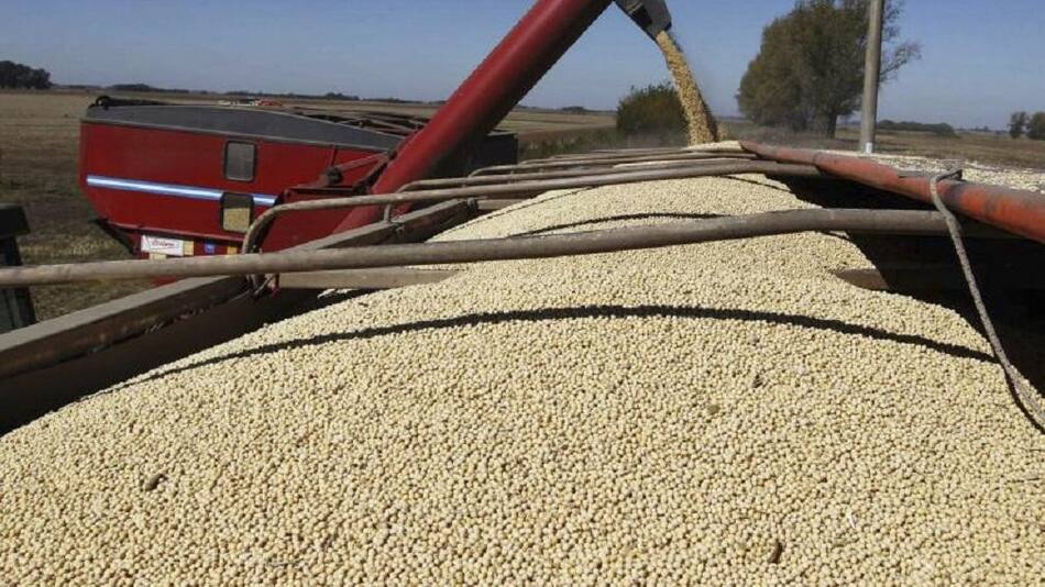 Campo, granos, soja, NA
