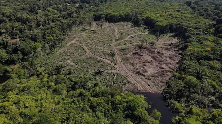 Deforestación en la selva amazónica en Manaos. Foto: Reuters