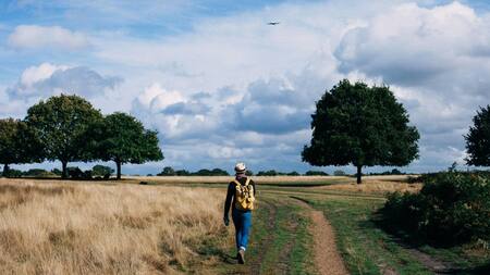 Caminata, naturaleza. Foto: Pexels.