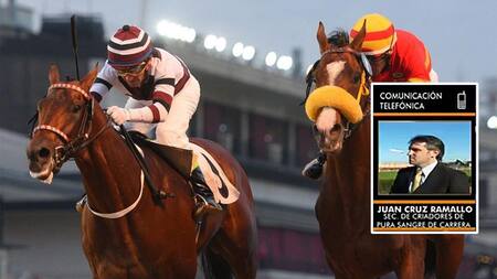 Quita de subsidios al turf