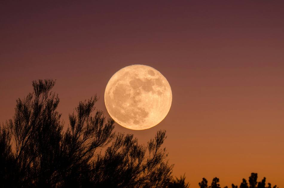 Luna llena. Foto: Unsplash