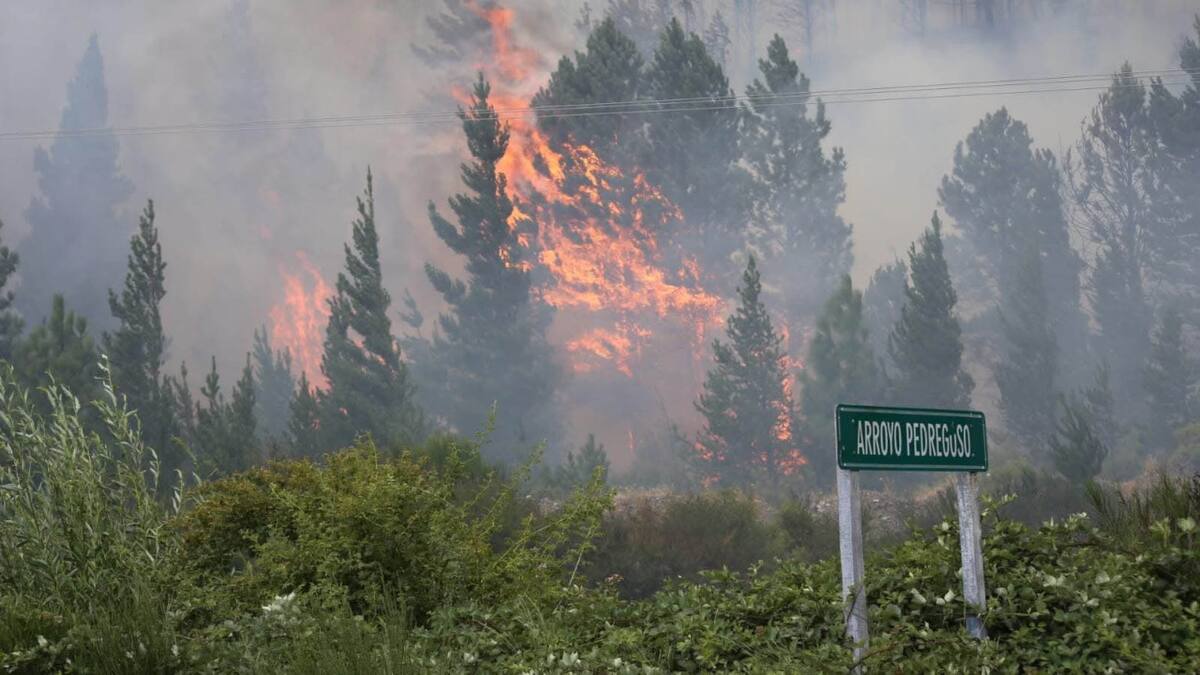 Incendios en Epuyén. Foto: NA.