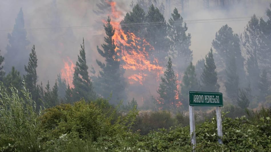 Incendios en Epuyén. Foto: NA.