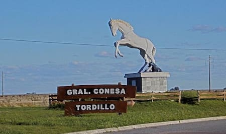 Tordillo. Foto serargentino.com