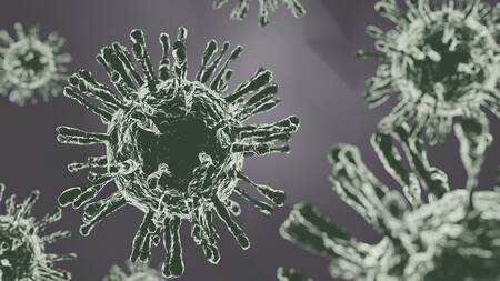 Advierten que el cambio climático agravará el problema mundial de la resistencia a los antimicrobianos. Foto: Pixabay