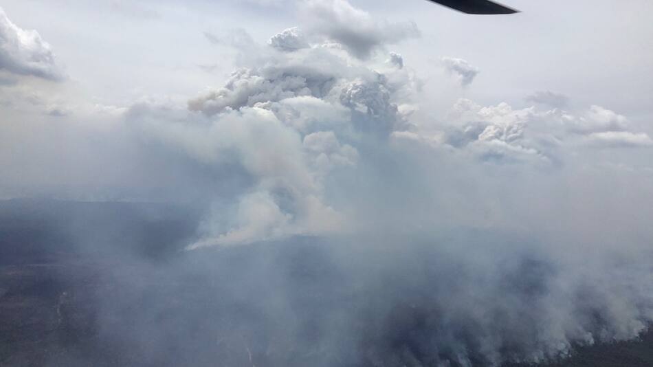 El humo de los incendios que arden en Australia. Foto: X (@NSWRFS).