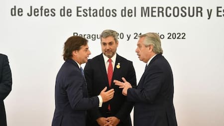 Alberto Fernández participó en la Cumbre del Mercosur en la ciudad paraguaya de Luque. Foto: NA.