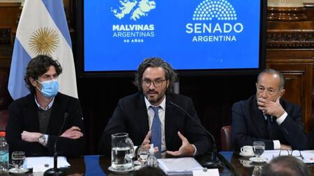 Santiago Cafiero, en el Senado. Foto: NA.