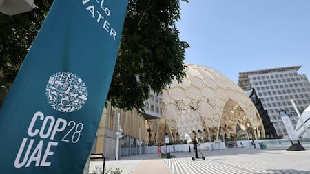 COP28: ¿qué es y cuáles son los temas de este año?. EFE