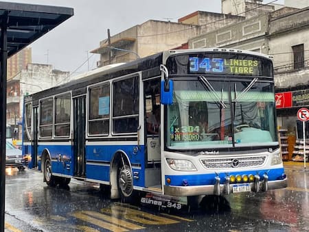 Línea de colectivos 343. Foto Instagram @linea_343