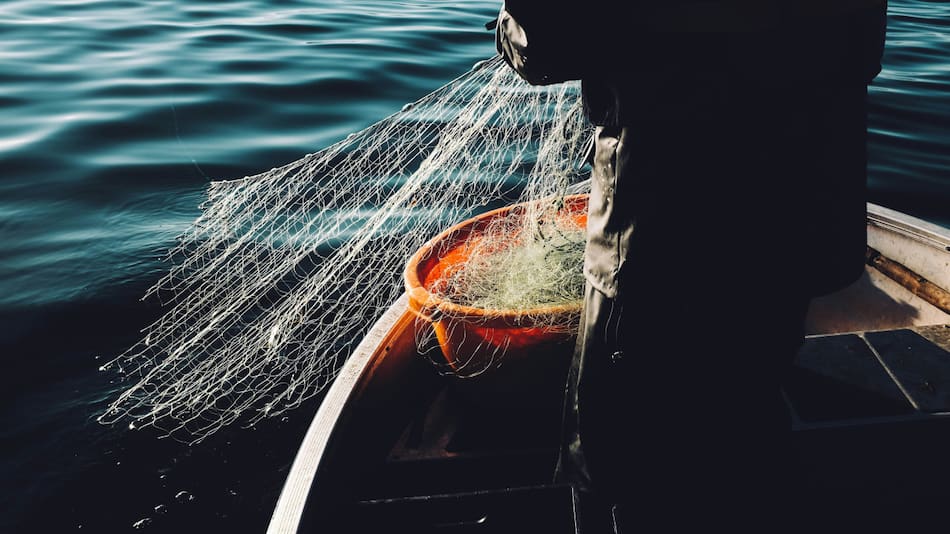 Pesca de salmón. Foto: Unsplash