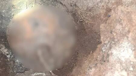 Parte de los restos encontrados en el patio de la casa de González Catán. Foto: NA