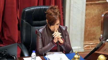 Cristina Kirchner en el Senado. Foto: NA.