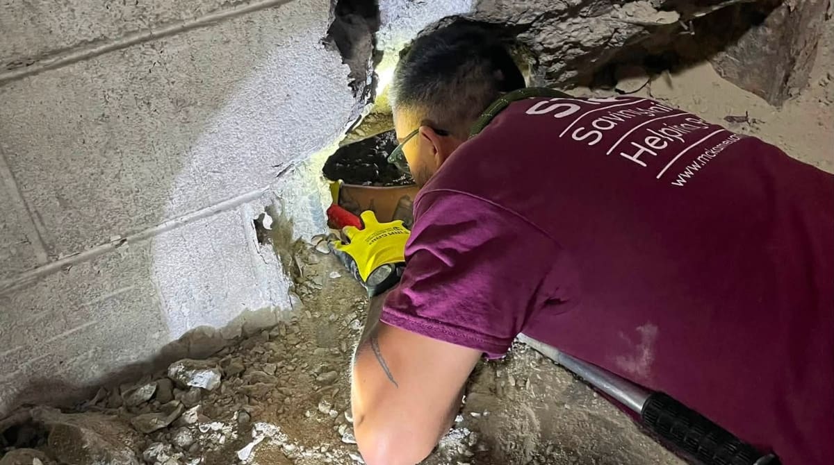 Perro atrapado en tuberías en Estados Unidos.