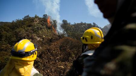 Incendios en Colombia. Foto: Reuters.