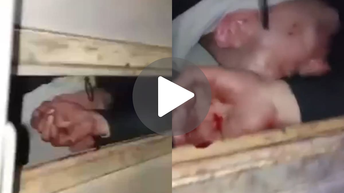 VIDEO: quiso entrar a robar a una casa, quedó enganchado en la reja y tuvieron que rescatarlo