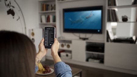 Trucos para mejorar tu seguridad con la TV. Foto: Freepik