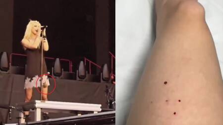 Taylor Momsen fue mordida por un murciélago en pleno show. Fotos: captura video.