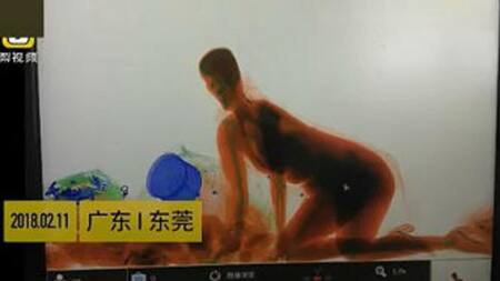 Se mete en el escáner de control de equipajes para no soltar la maleta