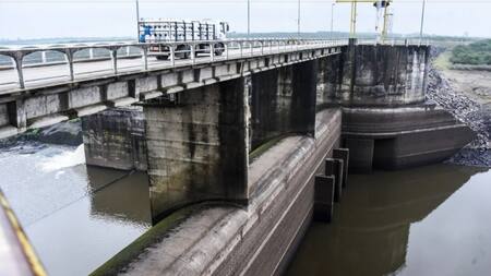Sequía en Uruguay. Foto: Twitter.