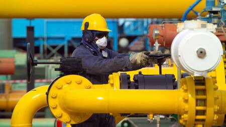 Fábrica argentina. Foto: Diario Río Negro.