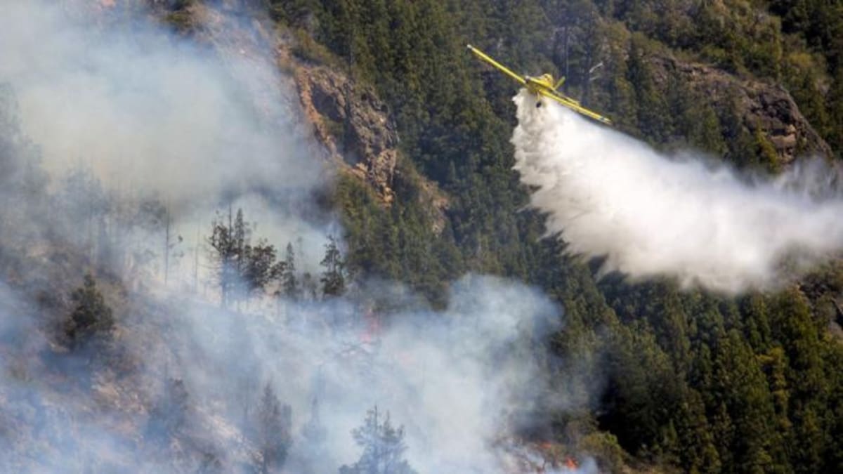 Incendio forestal