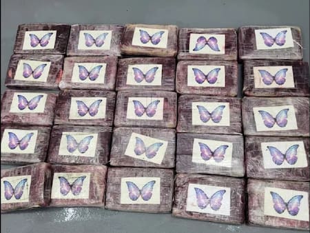 La cocaína que encontró la alcaldesa mientras pescaba. Foto: @USBPChiefMIP