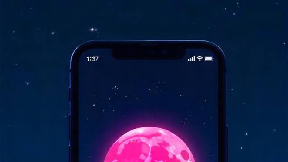 Modo Luna Rosa en WhatsApp. Foto: Freepik