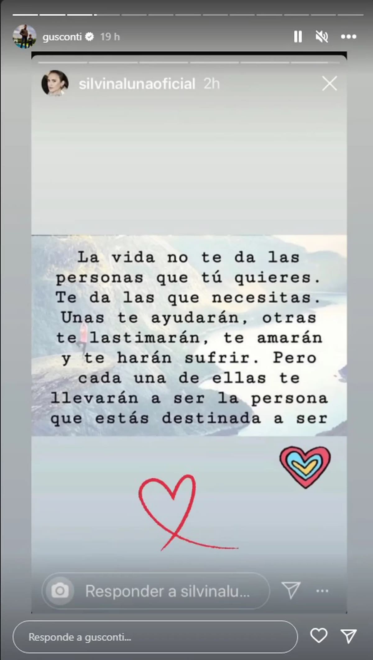El mensaje de Silvina Luna que compartió Gustavo Conti. Foto: Instagram @gusconti