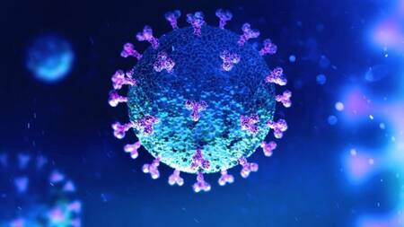 Coronavirus en el mundo, pandemia