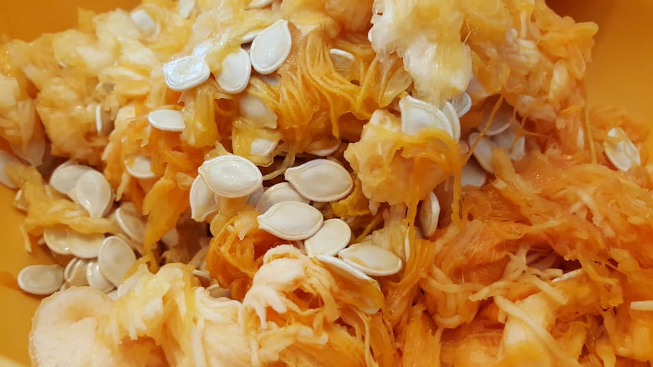 Semillas de calabaza. Foto: Unsplash.