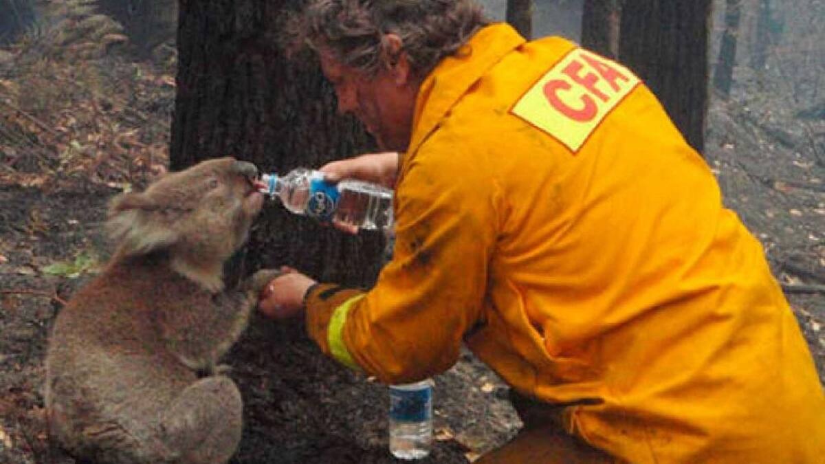 Incendio Australia