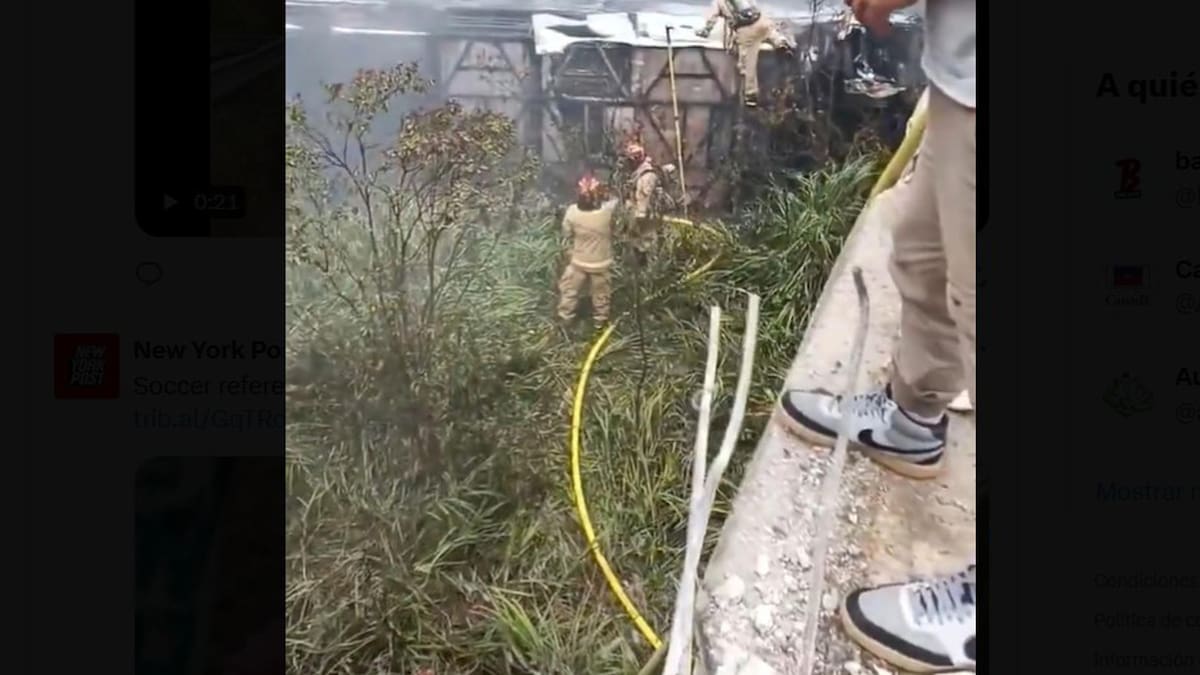 Tragedia en Ecuador: al menos 11 muertos y más de 20 heridos tras la caída de un colectivo por un barranco