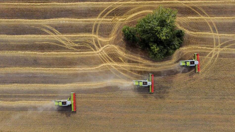 Exportación de granos / Fuente: Reuters.