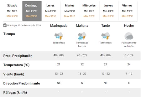 Llegan tormentas al AMBA este domingo 15 de febrero.